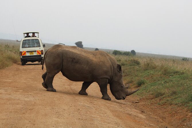 Half Day Tour To Nairobi National Park and Giraffe Center - What the $186 price really covers