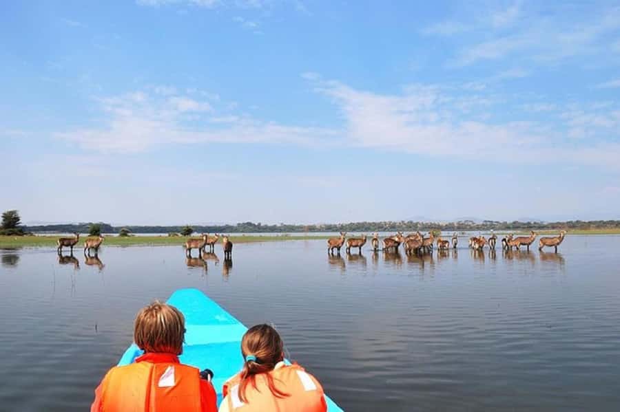 HELL'S GATE AND LAKE NAIVASHA BOAT RIDE FROM NAIROBI. - Who should book this day trip