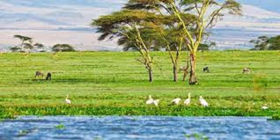 HELL'S GATE AND LAKE NAIVASHA BOAT RIDE FROM NAIROBI. - My booking advice
