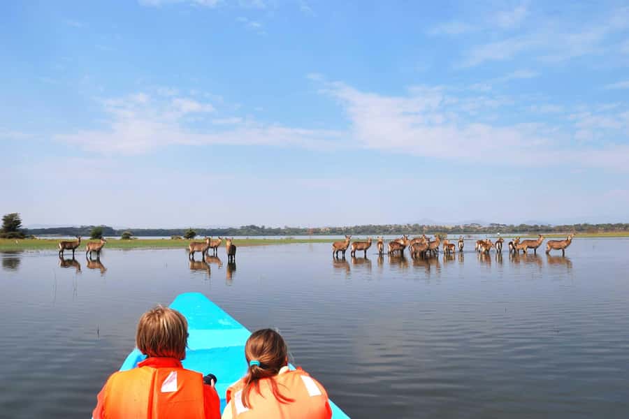 Hell's Gate and Lake Naivasha Guided Day Trip - Why Hell’s Gate feels different from a regular safari