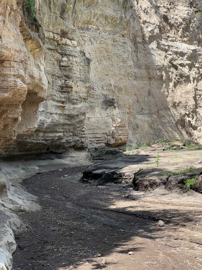 Hell's Gate & Lake Naivasha: Bike Tour, Hike & Boat Ride - What the $36 price really buys you