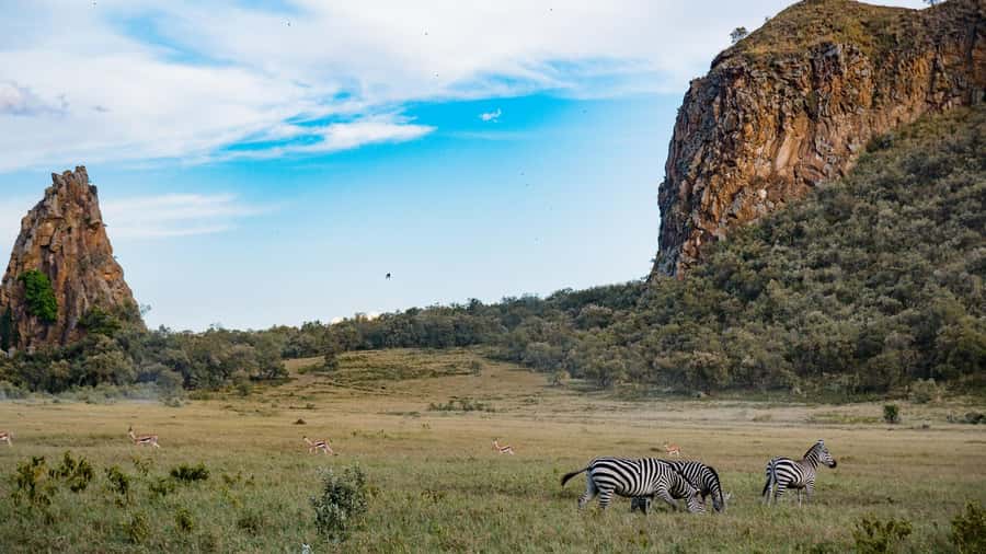 Hell's Gate & Lake Naivasha: Bike Tour, Hike & Boat Ride - The early Nairobi departure and Great Rift Valley views