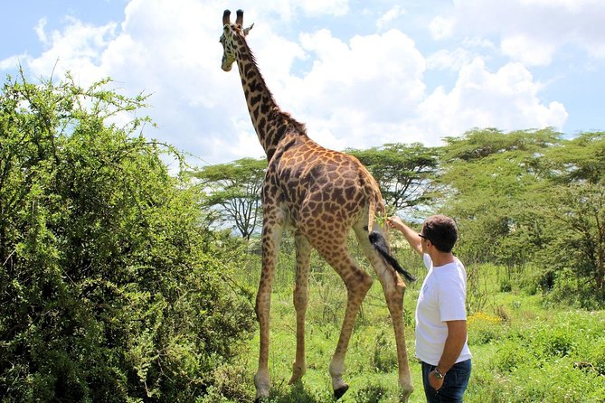 Hell's Gate & Lake Naivasha Small Group Day Tour - Guaranteed Daily Departure - Who should book this day trip?