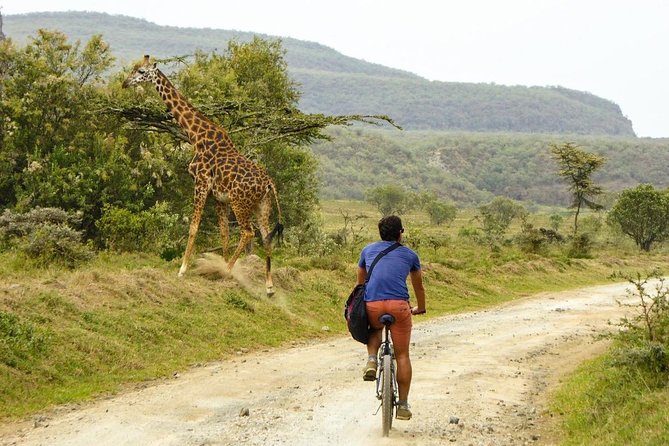 Hell's Gate & Lake Naivasha Small Group Day Tour - Guaranteed Daily Departure - Cycling or a game drive inside Hell’s Gate