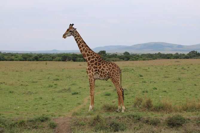 Hell's Gate National Park Private Bike Tour from Nairobi - Lunch near Naivasha, then a one-hour boat ride