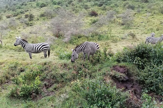 Hell's Gate National Park Private Bike Tour from Nairobi - What the private format really adds