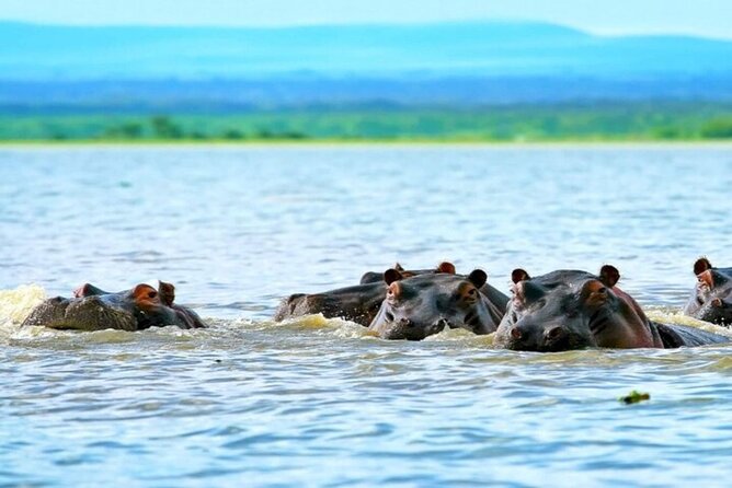 Hell's Gate Park and Lake Naivasha Day Tour - Three Hours on Two Wheels at Hells Gate