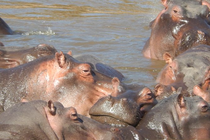 Hells Gate Cycling park & Lake Naivasha Boat tour - Why this Nairobi day trip feels different