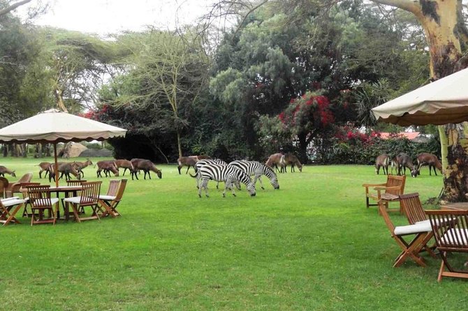 Hells Gate Excursion in Naivasha - What the bicycle hire adds