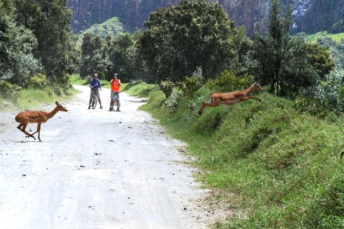 Hells Gate Excursion in Naivasha - The $95 price and the extra costs