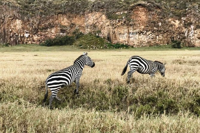 Hells Gate Excursion in Naivasha - What the strongest guide feedback tells you