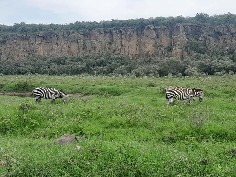 Hells Gate National Park and Lake Naivasha Day Tour - Why Hell’s Gate works so well as a day trip