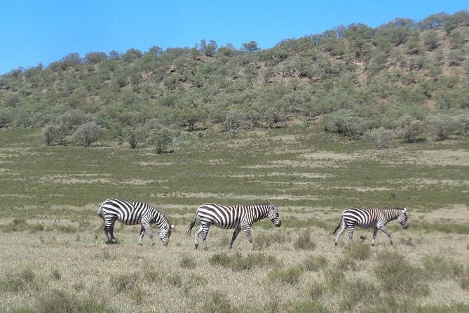 Hells Gate National Park Day Trip - What the $165 price really covers