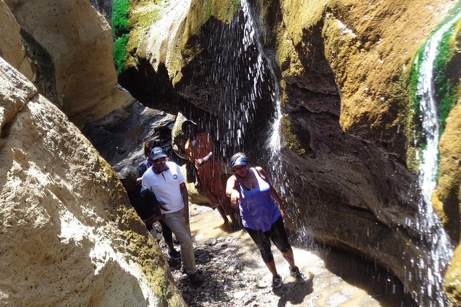 Hells Gate National Park Day Trip - Guides, humor, and personal service
