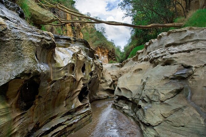 Hells Gate National Park & Lake Naivasha Day Trip from Nairobi - Inside Hell’s Gate: bike, game drive, or both