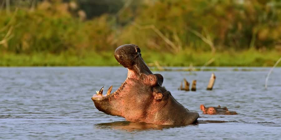 Hellsgate and Lake Naivasha Day Trip from Nairobi - Lunch and Kenyan dishes at your own cost