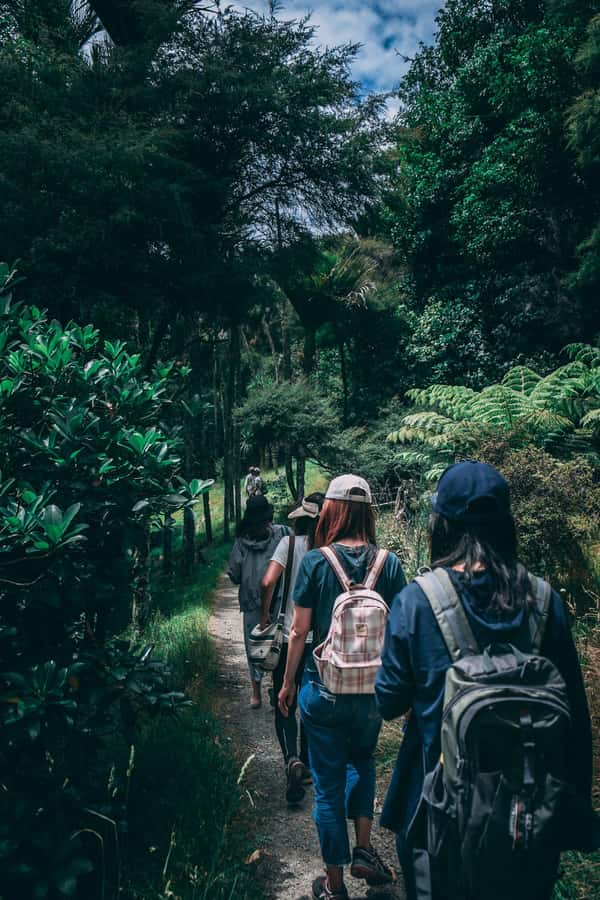 Hike in The Karura Forest - Why Karura Forest works so well in Nairobi