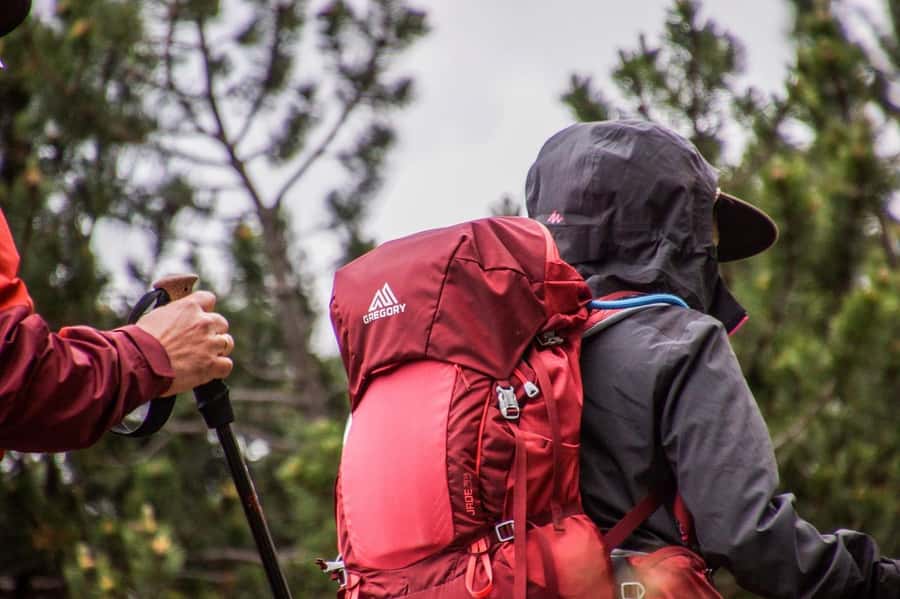 Hike in The Karura Forest - Starting from 13 Nkrumah Avenue
