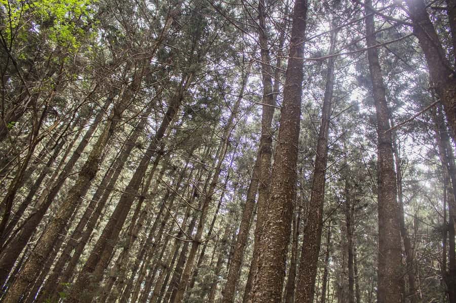 Hike in The Karura Forest - The waterfall and caves