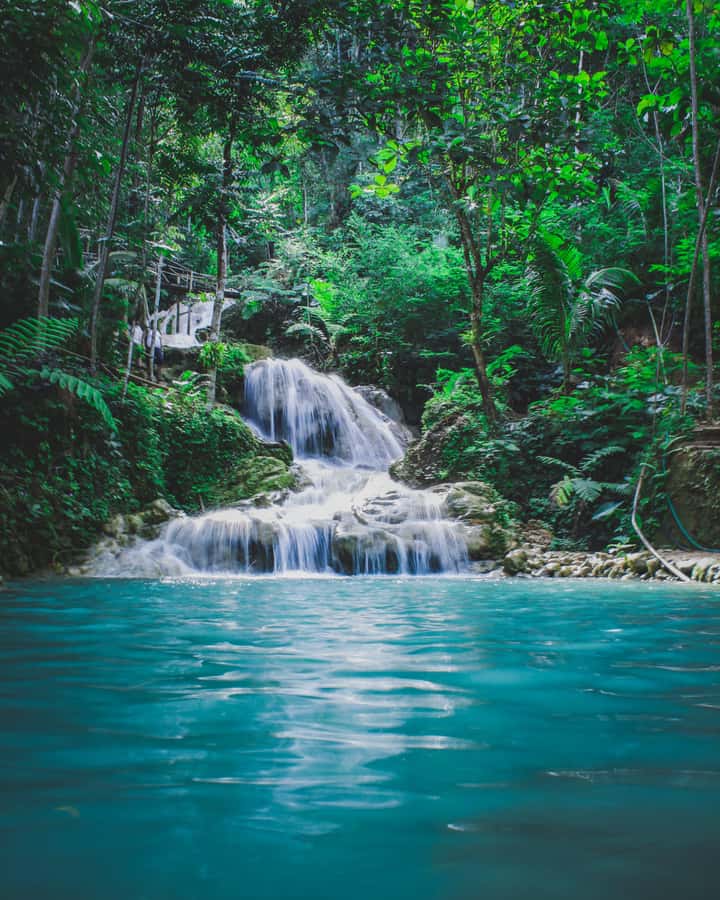 Hike in The Karura Forest - Following Karura’s shaded trails