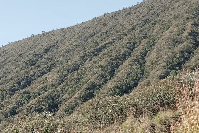Hiking Trip to Mount Longonot National Park & Lake Naivasha - What the strongest praise tells you