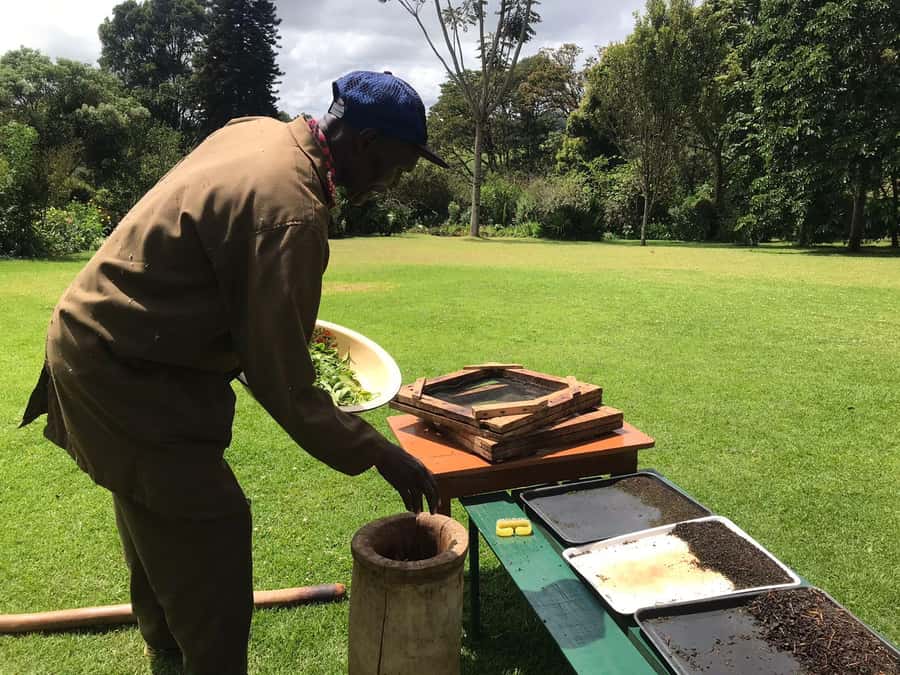 Kaimbethu tea farm tour and lunch package - A green escape from Nairobi’s city traffic
