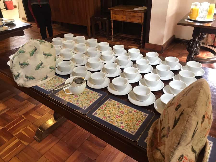 Kaimbethu tea farm tour and lunch package - Walking among tea bushes and native trees