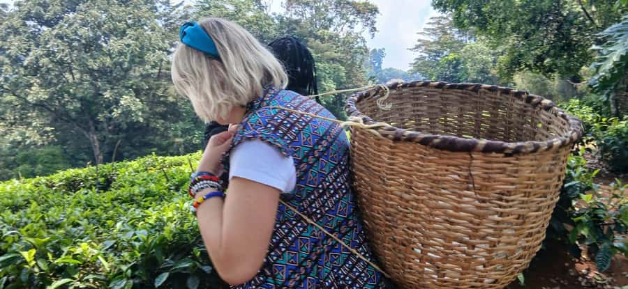 Kaimbethu tea farm tour and lunch package - Meeting the people behind the farm