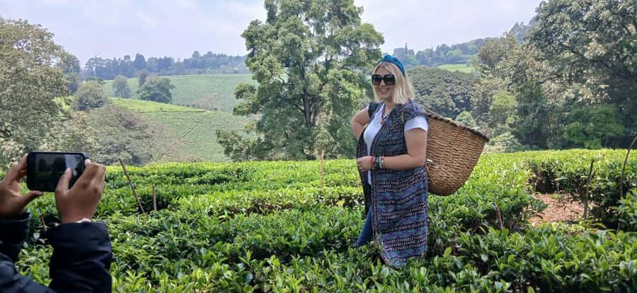 Kaimbethu tea farm tour and lunch package - Price, entrance fees, and what you actually receive