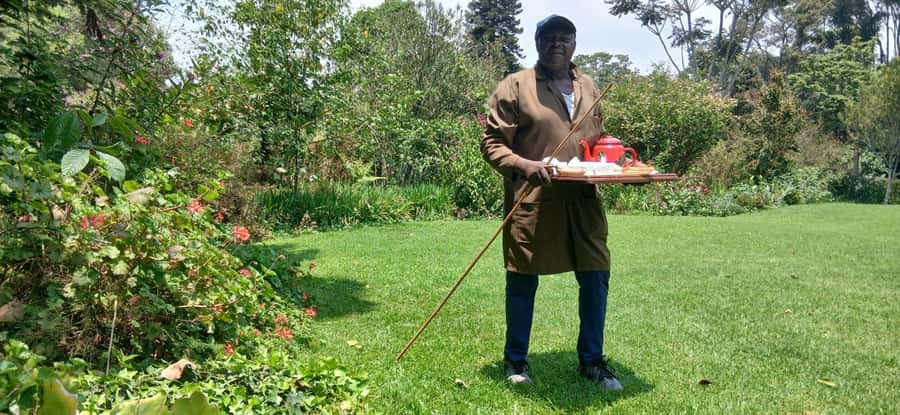 Kaimbethu tea farm tour and lunch package - Should you book this tea farm day?