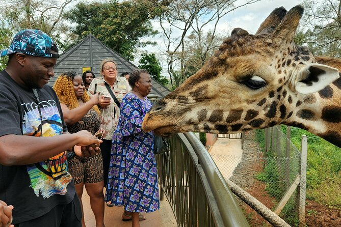 Karen Blixen Museum, Beads craft and Giraffe Day tour - What the guides add to the day