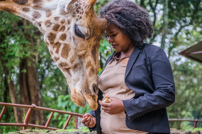 Karen Blixen Museum & Giraffe Centre Half day tour - Who will get the most from this tour