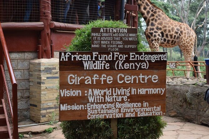 Karen Blixen Museum & Giraffe Centre Half day tour - Booking, cancellation, and practical details