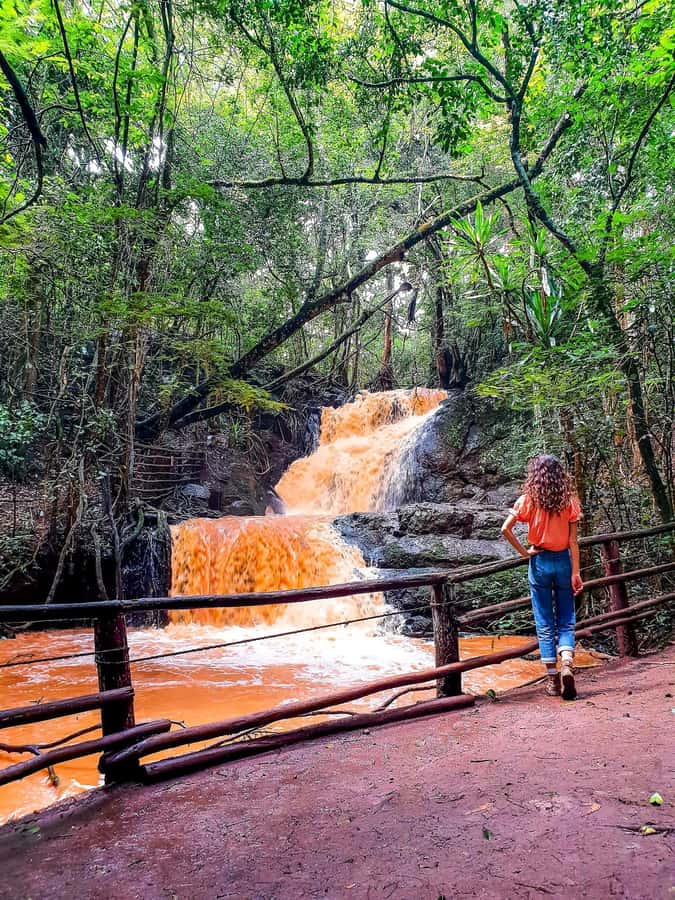 Karura forest A walking tour from Nairobi - Entering Karura Forest from Nairobi