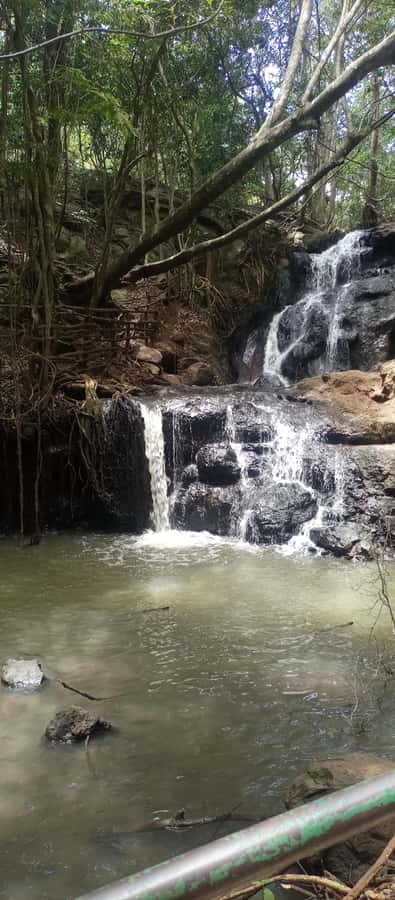 Karura forest: A walking tour into Nairobi's Nature Oasis - Why Karura Forest makes a good Nairobi break