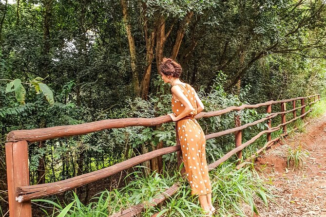 Karura Forest Hiking and Bike Tour - Why Karura Works So Well for a Half-Day Escape