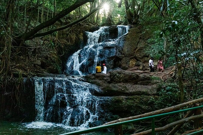 Karura Forest Hiking and Bike Tour - Cycling the 12-Kilometer Trail