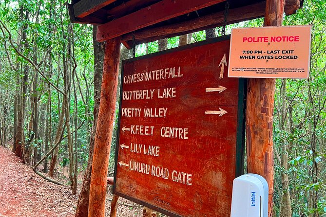 Karura Forest Nature Trail - The waterfall and caves are the morning’s main prizes