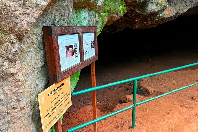 Karura Forest Nature Trail - Wildlife and bird-watching in an urban forest