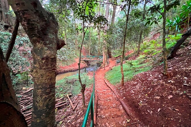 Karura Forest Nature Trail - Cycling, jogging, and other ways to use the forest