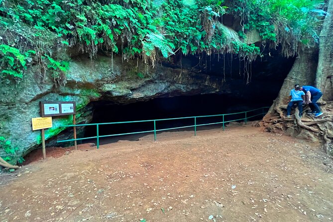 Karura Forest Nature Trail - What the private format adds to the $90 price