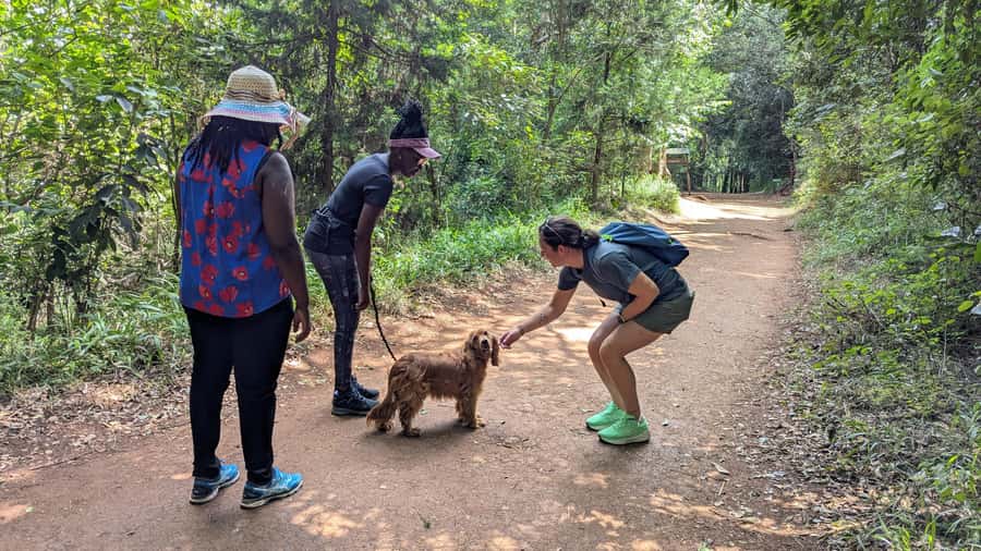 Karura Forest: Walking tour with Nature and Waterfalls. - The first 90 minutes: woodland trails, monkeys, and caves