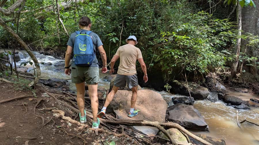Karura Forest: Walking tour with Nature and Waterfalls. - The final 70 minutes: lake, waterways, and wildlife
