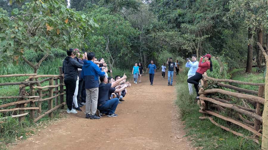 Karura Forest: Walking tour with Nature and Waterfalls. - What Allan adds to the experience