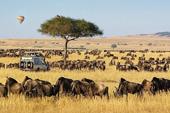 Keekorok Lodge 3 Days, 2 Nights Maasai Mara Offer - Optional Maasai village visit for $20