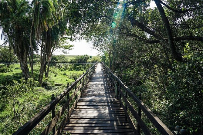 Keekorok Lodge 3 Days, 2 Nights Maasai Mara Offer - The Mara River and the migration story