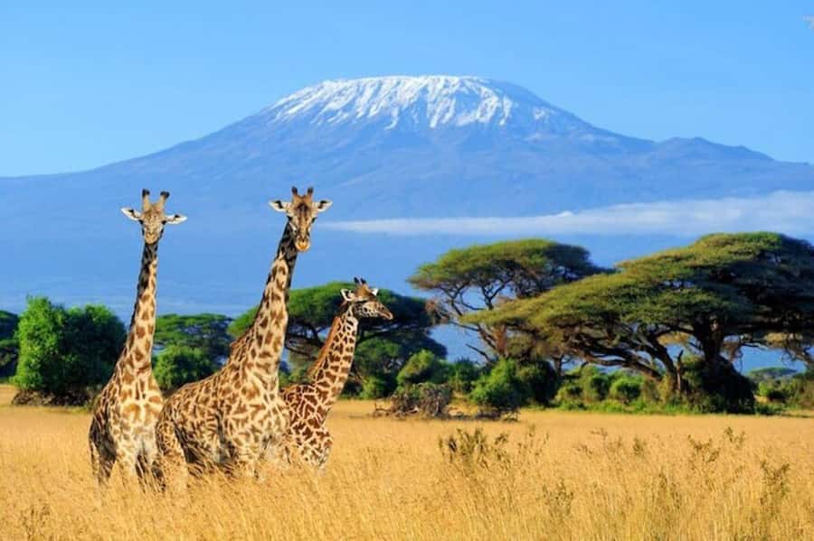 Kenya: 7-Day Big 5 Safari Tour from Nairobi - Day 1: Rift Valley views before the Maasai Mara
