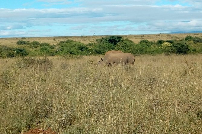 Kenya safari - Lake Nakuru: flamingos, rhinos, and a compact wildlife stop