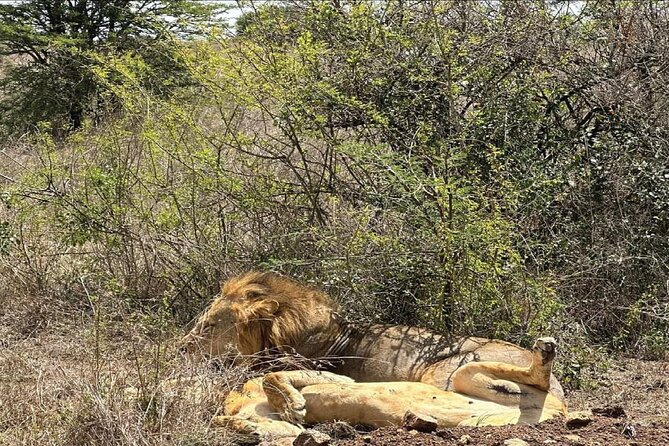 Kenya safari - The long road to Maasai Mara