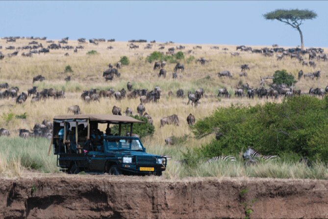 Kenya safari - Two full days of game viewing in the Mara